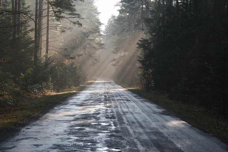 Rostoczek 11.2008 204